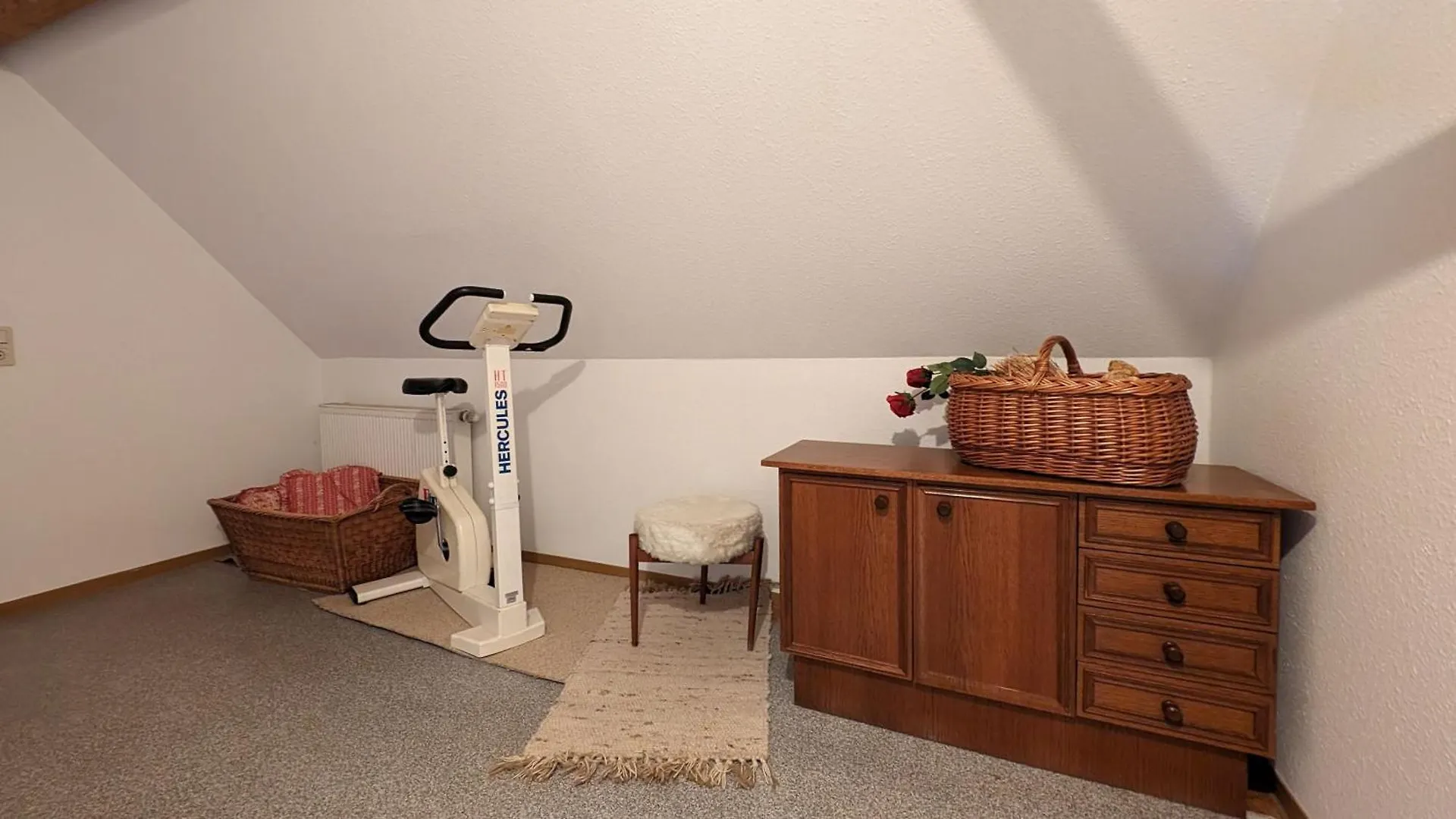 Dresden, Ferienwohnung 